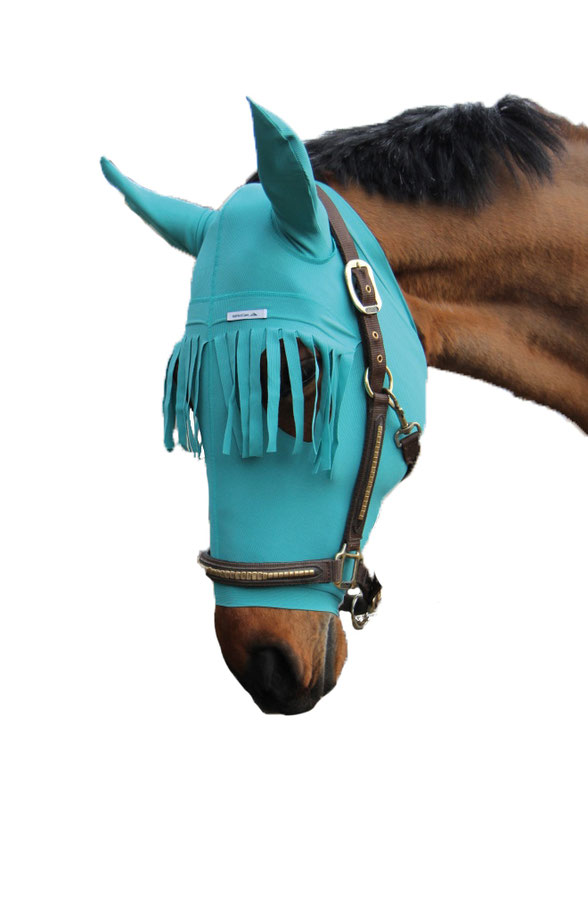 Hovedforbinding med frynser på øjne. Str. L/Hest